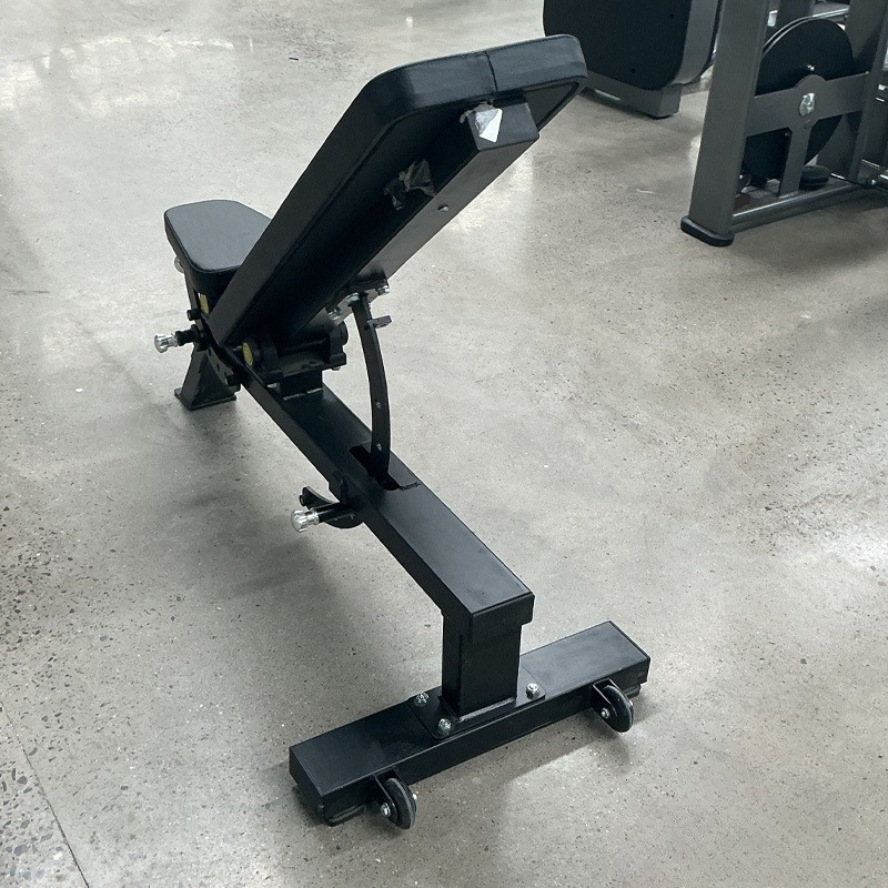 Banco de Pesas Ajustable para  - Home Gym Portable reseña y precio
